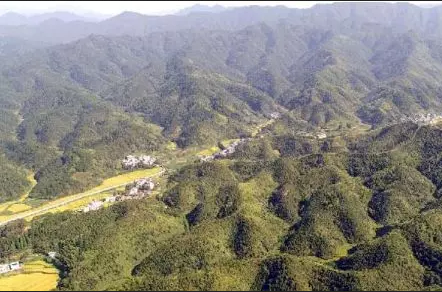 綠色通山三部曲—— 通山開展林業(yè)建設走筆